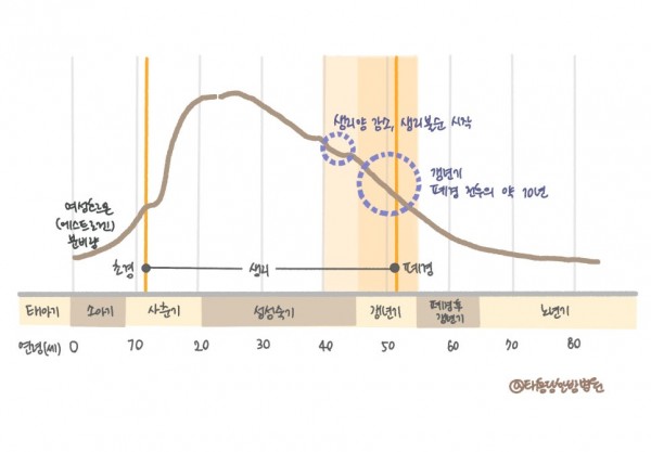 갱년기