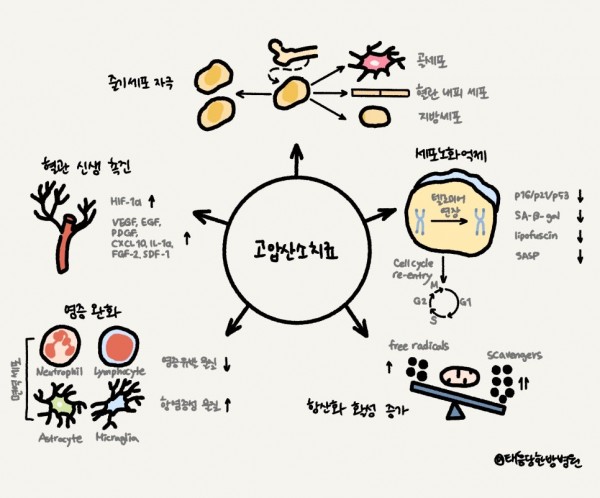 당뇨발괴사