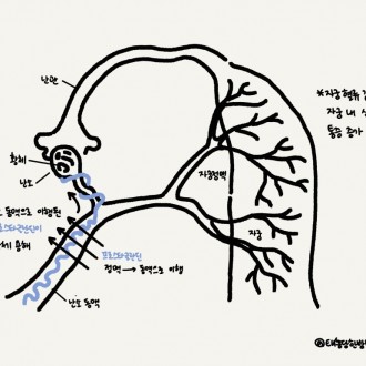 생리통 월경통