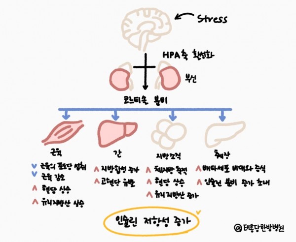 저속노화 스트레스