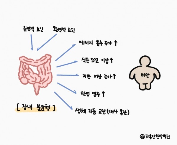 다이어트 한약 치료 장내 미생물 불균형