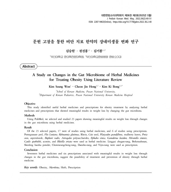 다이어트 한약 치료